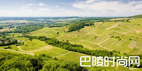 走进法国低调神秘的汝拉产区 走进法国低调神秘的汝拉产区