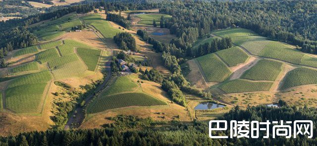 杰克逊家族酒业在俄勒冈州创建新酒庄