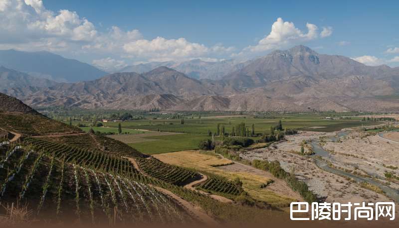 带你走近智利各产区的赤霞珠