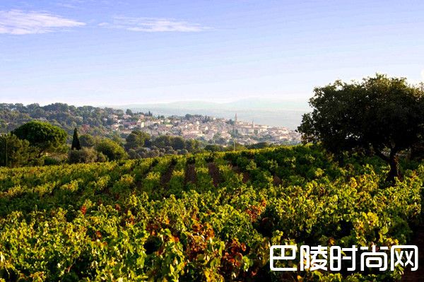 邦多勒,普罗旺斯之星 邦多勒,普罗旺斯之星