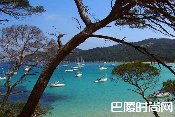 邦多勒,普罗旺斯之星 邦多勒,普罗旺斯之星