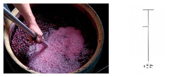 单宁在酿酒过程中扮演着什么角色？