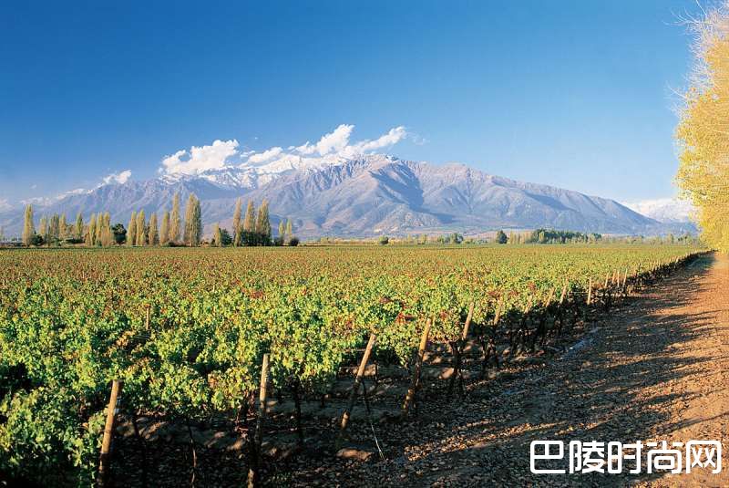 走近“智利的波雅克”——上普恩特