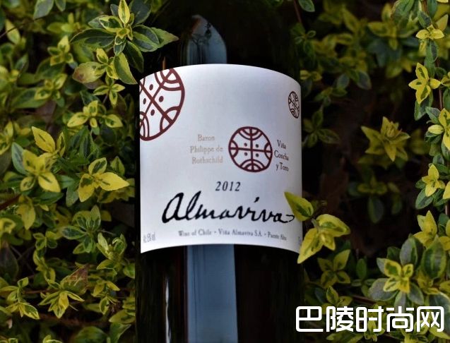 走近“智利的波雅克”——上普恩特