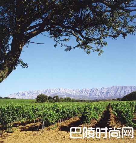 这个春季，来一场普罗旺斯浪漫之旅