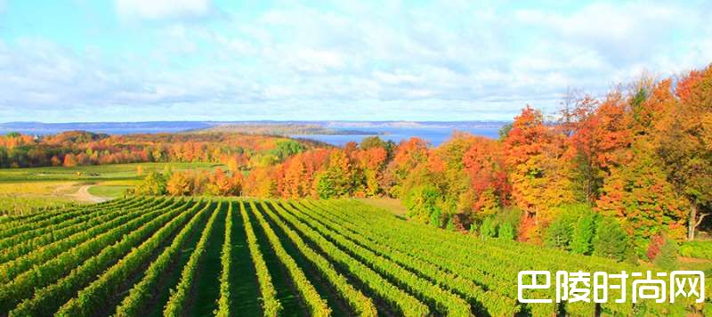 除了加州,美国这几个产区同样值得关注 除了加州,美国这几个产区同样值得关注