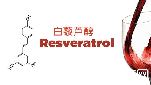 研究发现：白藜芦醇可延缓肌肉和神经元衰老