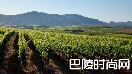 嘉露将收购纳帕谷马车葡萄园 嘉露将收购纳帕谷马车葡萄园