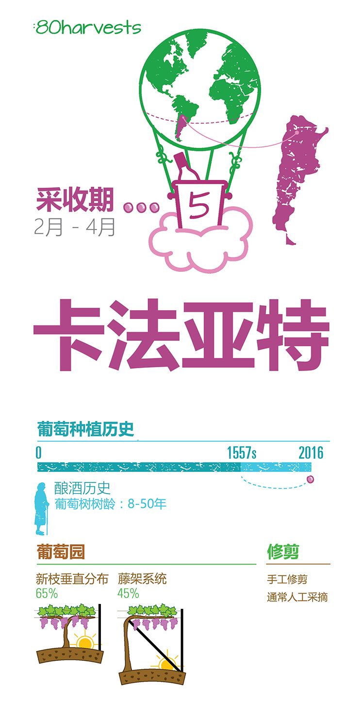 一张图了解明星产区卡法亚特 一张图了解明星产区卡法亚特