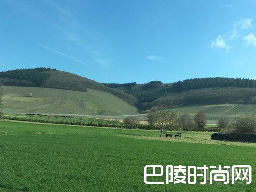 红酒世界拜访德国林克酒庄,感受摩泽尔的魅力 红酒世界拜访德国林克酒庄,感受摩泽尔的魅力