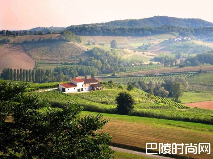 细说巴贝拉葡萄酒