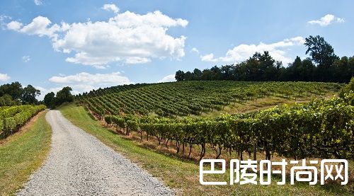 关于弗吉尼亚州葡萄酒的10个事实 关于弗吉尼亚州葡萄酒的10个事实