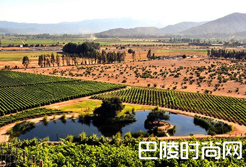 带上三五酒友，到葡萄酒产区骑行