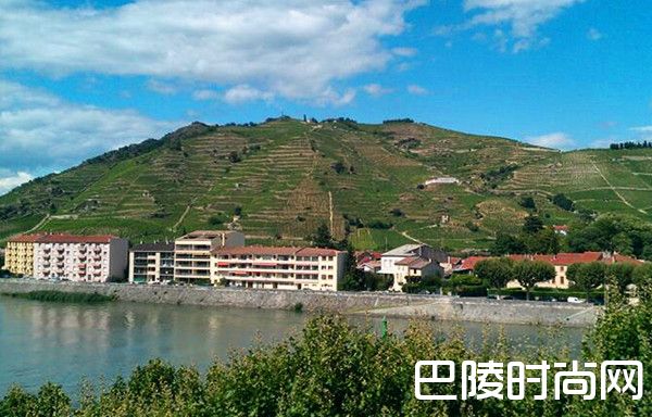 不同的风土，不一样的西拉