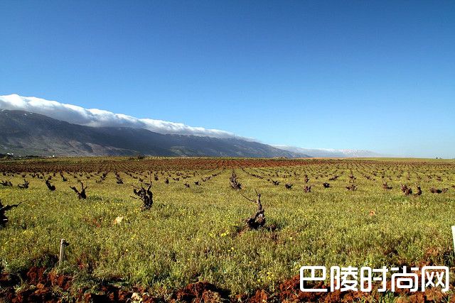 2017七大值得一游的葡萄酒旅游胜地 2017七大值得一游的葡萄酒旅游胜地