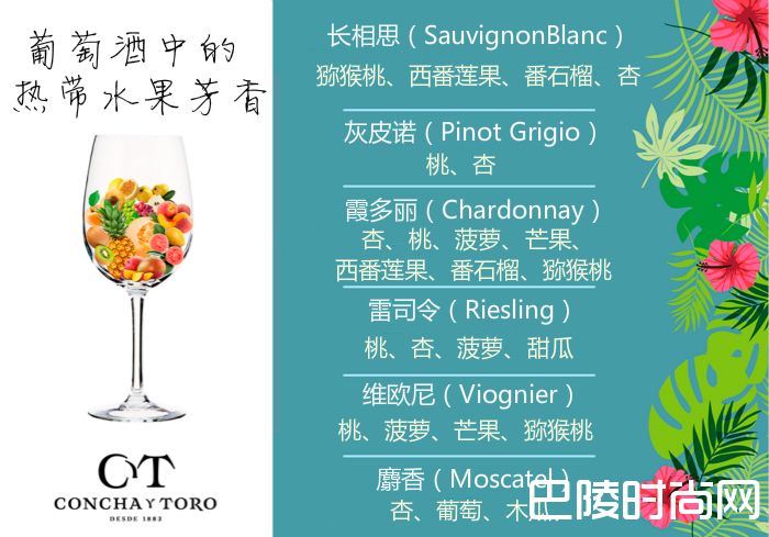 葡萄酒中的热带水果香气 葡萄酒中的热带水果香气