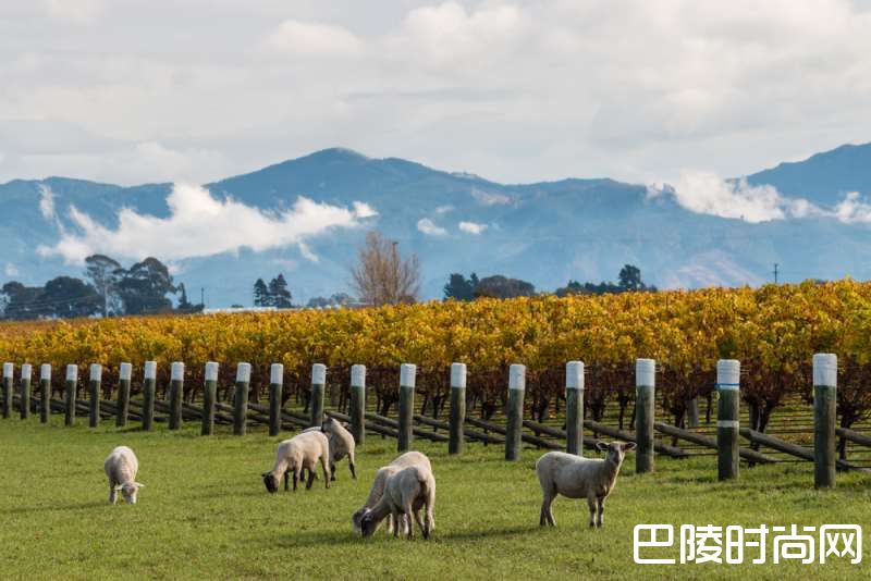 关于智利，不可不知的几个产区