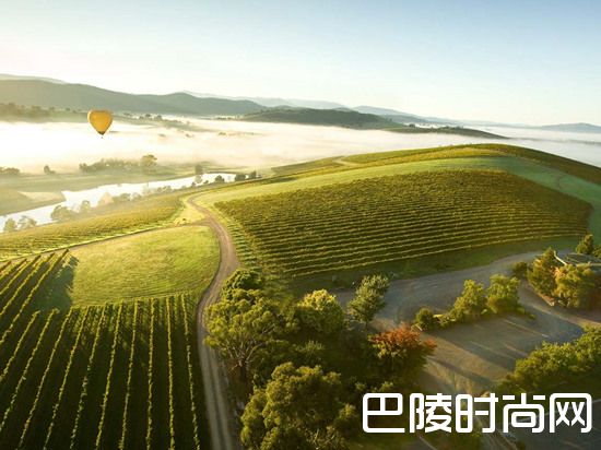 产酒大国的新兴产区 产酒大国的新兴产区