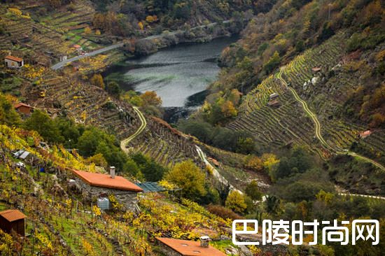 产酒大国的新兴产区 产酒大国的新兴产区