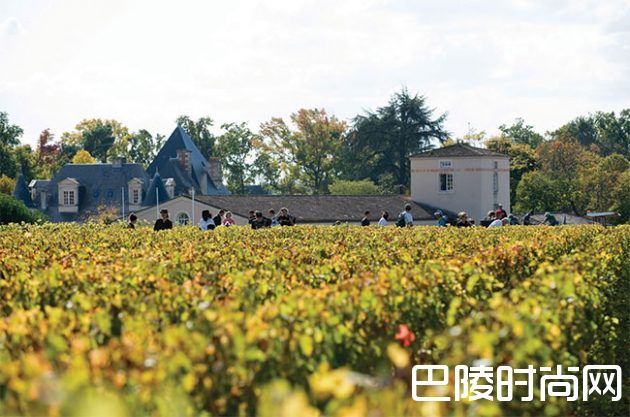 红酒世界2016期酒抢先看:侯伯王庄园 红酒世界2016期酒抢先看:侯伯王庄园