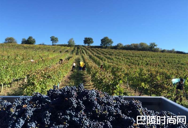 2016年波尔多葡萄园天气一览