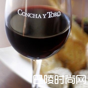 智利干露酒庄2016年总销售额上涨,但净利润下滑 智利干露酒庄2016年总销售额上涨,但净利润下滑