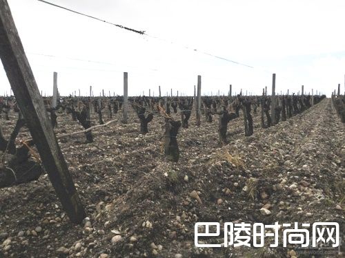 红酒世界2016期酒抢先看：拉菲古堡