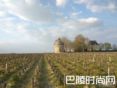 红酒世界2016期酒抢先看:拉图城堡 红酒世界2016期酒抢先看:拉图城堡