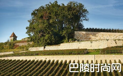 红酒世界2016期酒抢先看:柏菲酒庄 红酒世界2016期酒抢先看:柏菲酒庄