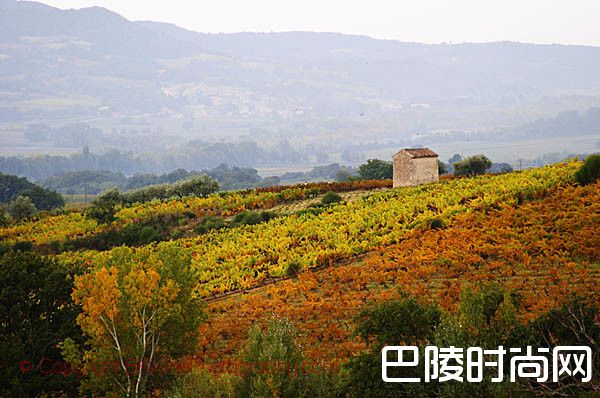 罗讷河谷2016:葡萄酒产量微增,出口量下滑 罗讷河谷2016:葡萄酒产量微增,出口量下滑