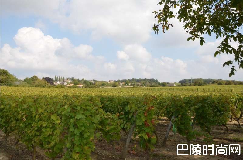 玩转法兰西花园，从这几个城市开始