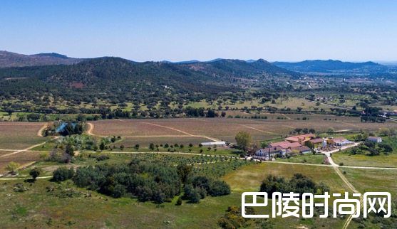 酒业巨头辛明顿首次在杜罗河外收购葡萄园