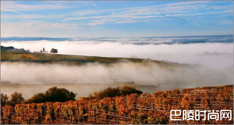 玩转法兰西花园，从这几个城市开始