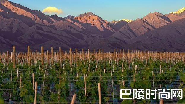 布宜诺斯艾利斯庆祝第七届世界马尔贝克日