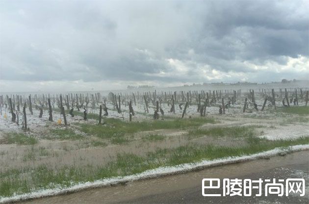 勃艮第将全面覆盖防雹技术 勃艮第将全面覆盖防雹技术