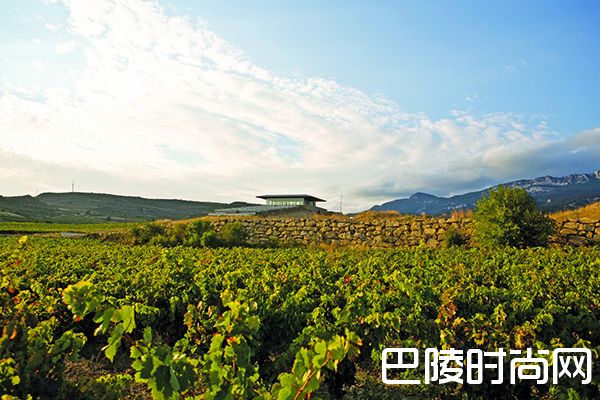 盘点里奥哈21世纪杰出年份