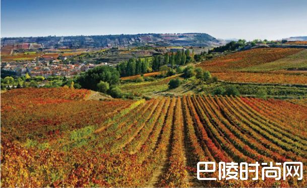 盘点里奥哈21世纪杰出年份