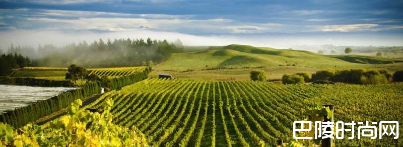 霍克斯湾，新西兰的红色秘密