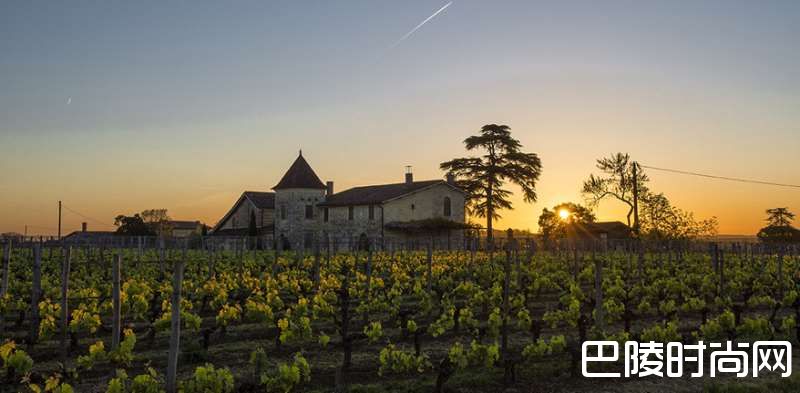 圣埃美隆-波美侯酒庄那么美，我想去看看