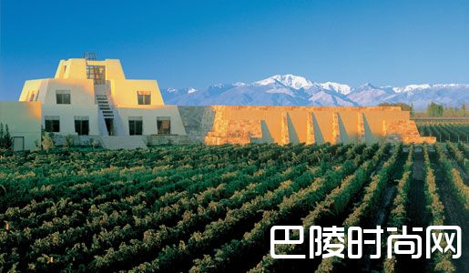 阿根廷葡萄酒领军者尼古拉斯·卡帝那