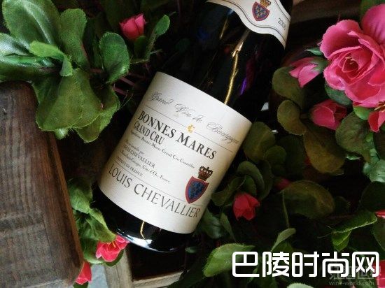 娇俏小公主，任性黑皮诺