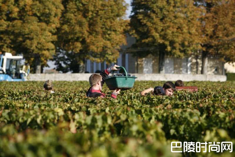 2016百大期酒黑马：康色扬酒庄