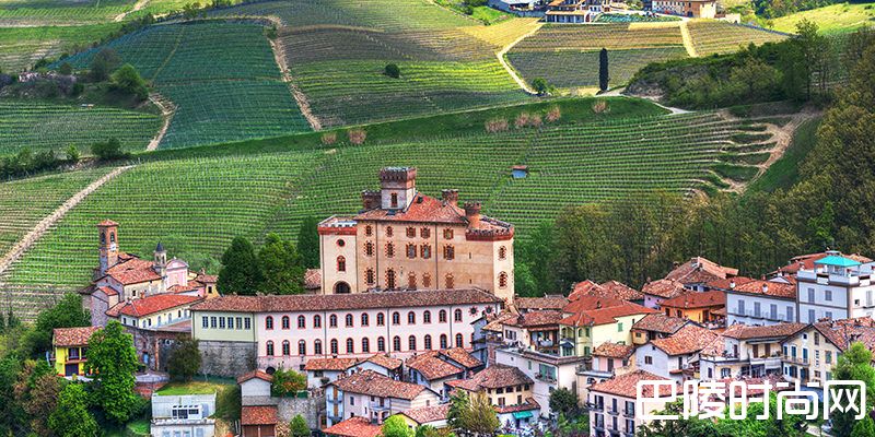 巴罗洛21世纪年份报告大盘点