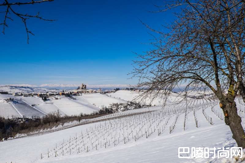 巴罗洛21世纪年份报告大盘点