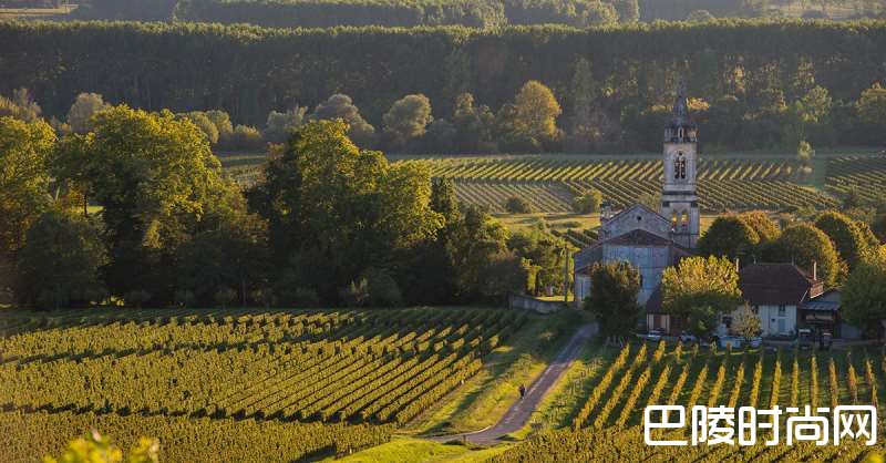 波尔多甜白葡萄酒全攻略