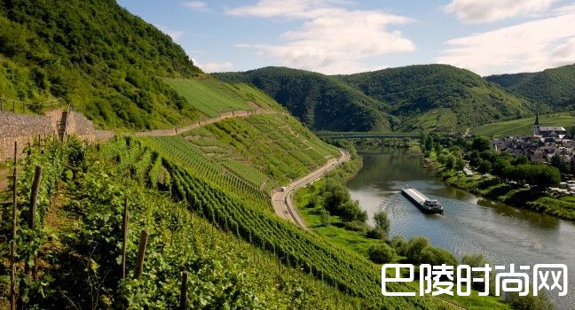 跟着镜头，去世界各地的葡萄园走一走