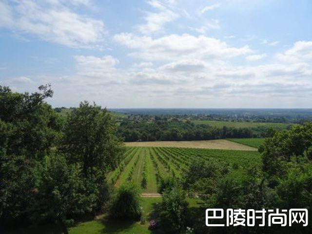 跟着镜头，去世界各地的葡萄园走一走