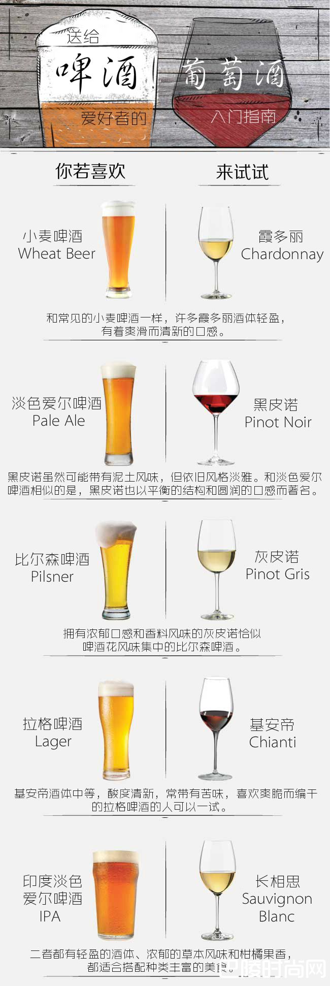 啤酒爱好者的葡萄酒入门指南