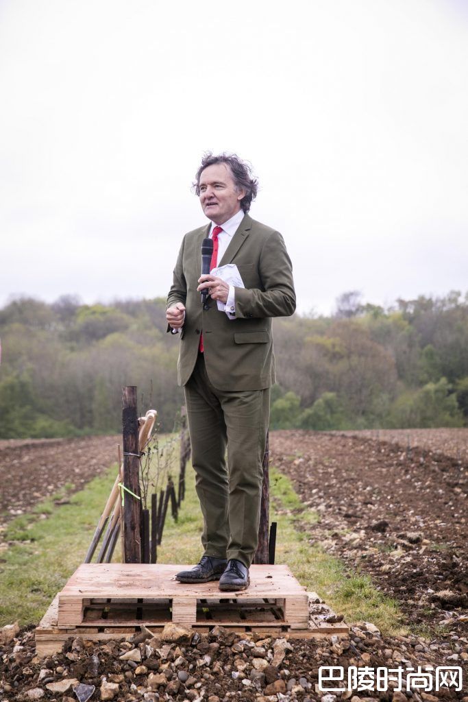 泰亭哲香槟在英新酒庄开始种植葡萄树 泰亭哲香槟在英新酒庄开始种植葡萄树