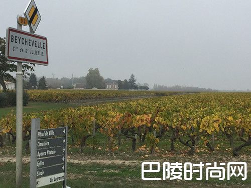 尼尔·马丁——新鲜、精细、展现风土的波尔多2016期酒